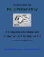Novel Unit for Belle Prater's Boy: A Complete Literature and Grammar Unit for Grades 4-8
