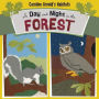 A Day and Night in the Forest
