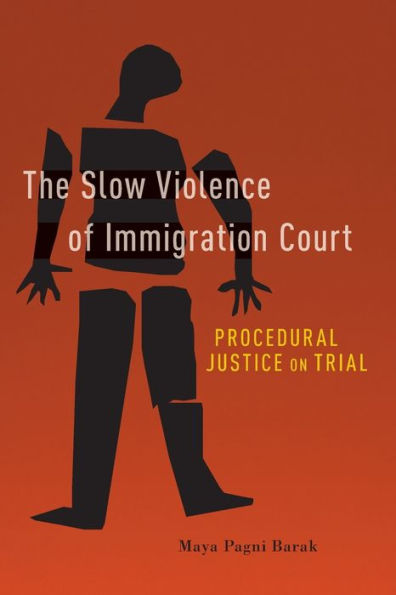 The Slow Violence of Immigration Court: Procedural Justice on Trial