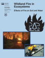 Wildland Fire in Ecosystems: Effects of Fire on Soil and Water