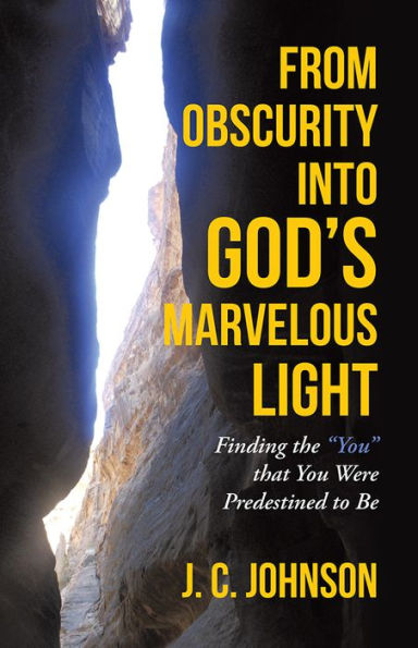 From Obscurity into God's Marvelous Light: Finding the 