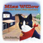 Miss Willow and the Great Fish Mystery