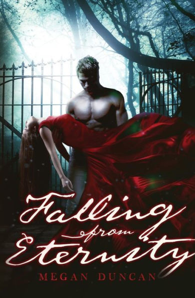 Falling From Eternity (A Paranormal Love Story)