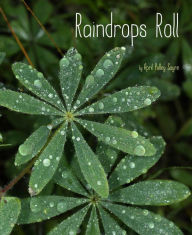 Title: Raindrops Roll, Author: April Pulley Sayre