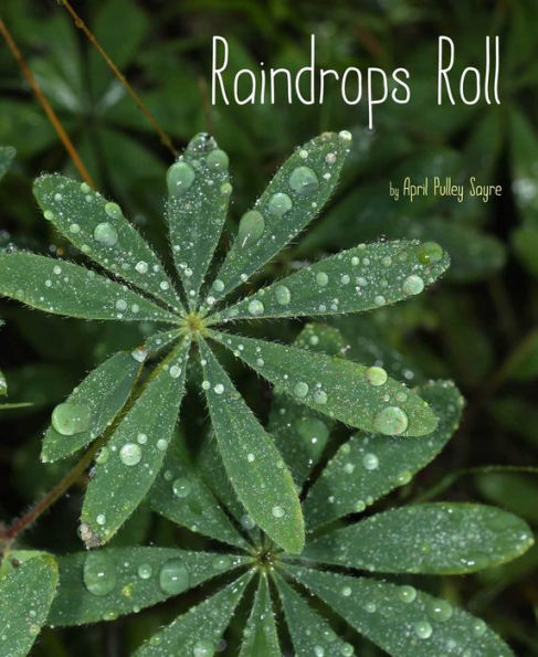 Raindrops Roll: With Audio Recording