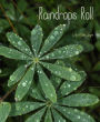 Raindrops Roll: With Audio Recording