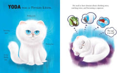 Alternative view 2 of Yoda: The Story of a Cat and His Kittens