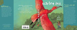 Alternative view 2 of Scarlet Ibis