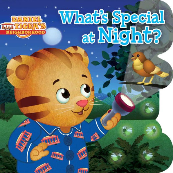 What's Special at Night?: with audio recording