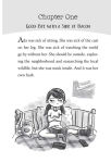 Alternative view 5 of Ada Lace, on the Case (Ada Lace Adventure #1)