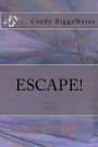 Escape!: A Hanukkah Story; Midzna, Poland; December 1939