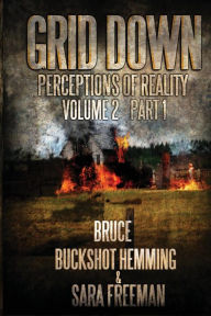 Title: Grid Down Perceptions Of Reality Vol 2 Book 1: Vol 2 Book 1, Author: Sara Freeman