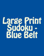 Large Print Sudoku - Blue Belt: Fun, Large Print Sudoku Puzzles