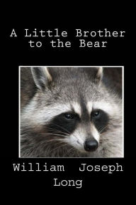 A Little Brother to the Bear
