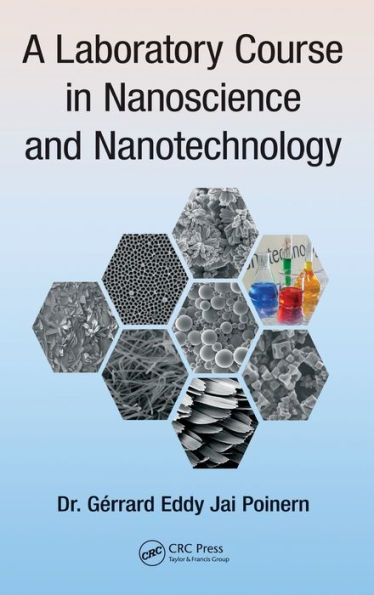 A Laboratory Course in Nanoscience and Nanotechnology / Edition 1