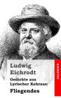 Gedichte aus Lyrischer Kehraus: Fliegendes