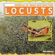 Title: Locusts, Author: Caitlin McAneney