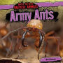 Army Ants