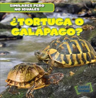 Title: Tortuga o galapago? (Turtle or Tortoise?), Author: Rob Ryndak