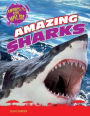 Amazing Sharks