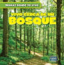 Vivo Cerca de Un Bosque (There's a Forest in My Backyard!)