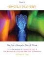 Angels Please! (Book 6): Photos of Angels, Orbs & More