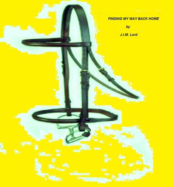 Finding My Way Back Home: The Patience of Jobe