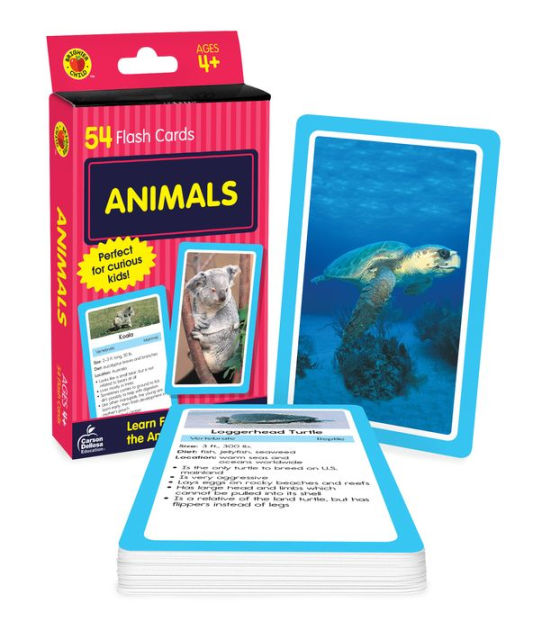My First Animals Flash cards FUN Learning ~ Babies & Toddlers first flash cards 