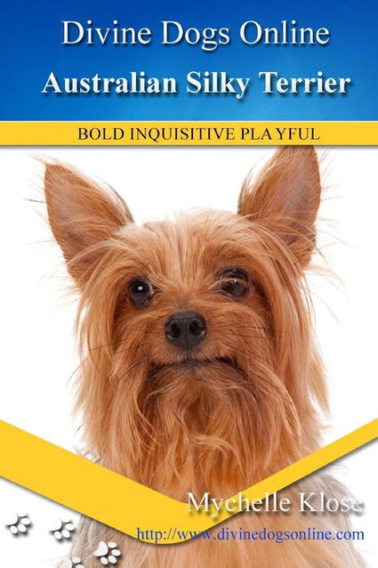 Australian Silky Terrier: Divine Dogs Online Mychelle Klose, Paperback Barnes & Noble®