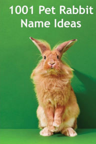 Title: 1001 Pet Rabbit Name Ideas: The most popular, quirky, and fun names you could give your pet rabbit!, Author: Alison Thompson