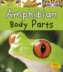 Amphibian Body Parts