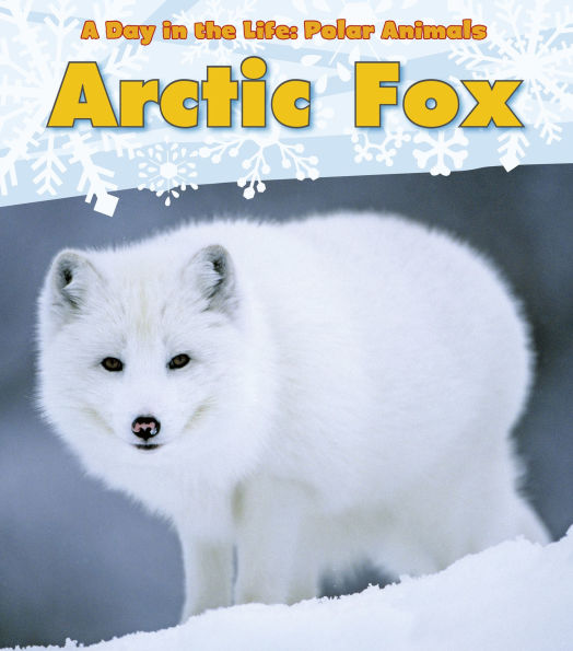 Arctic Fox