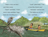 Alternative view 5 of The Mystery of the Fishy Canoe