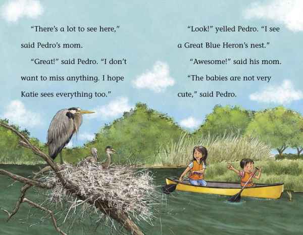 The Mystery of the Fishy Canoe
