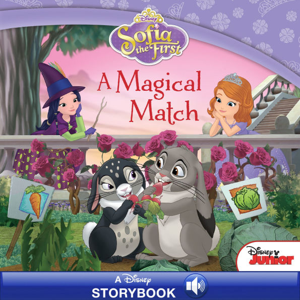 Sofia the First: A Magical Match