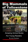 Big Mammals Of Yellowstone For Kids: Amazing Animal Books for Young Readers