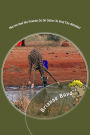 Mervin And His Friends Go On Safari To Find The Alphabet