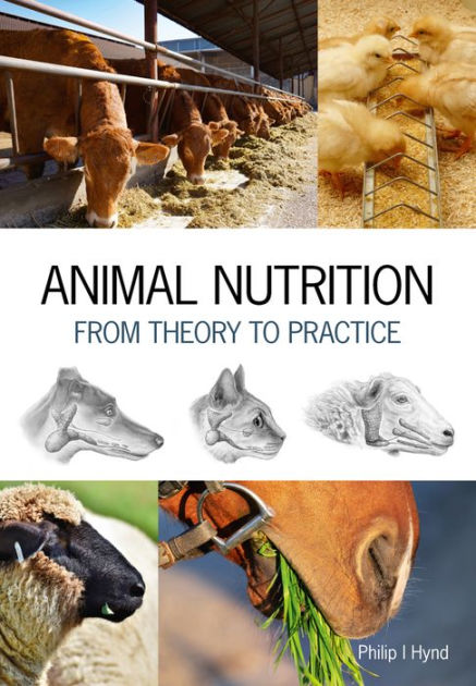 Animal Nutrition: From Theory to Practice by Philip Ian Hynd, Paperback