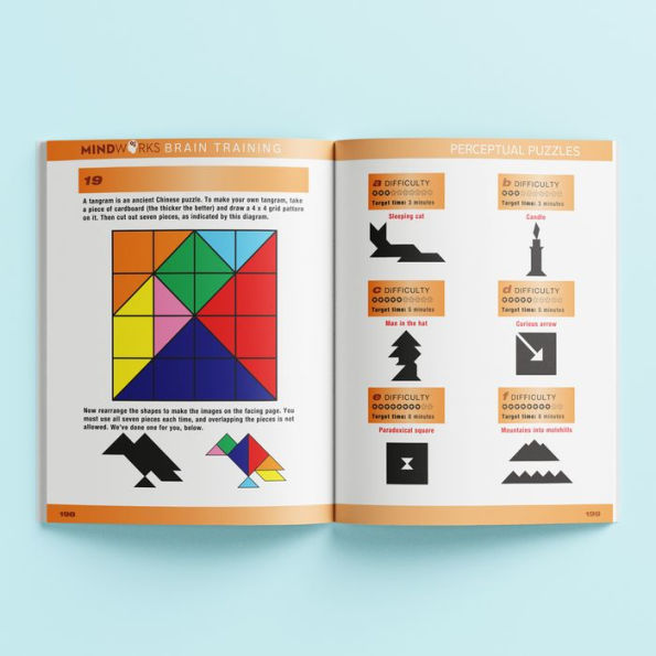 Mindworks Right Brain/Left Brain Puzzle Book