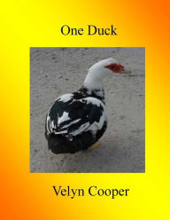 Title: One Duck, Author: Velyn Cooper