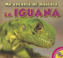 La Iguana