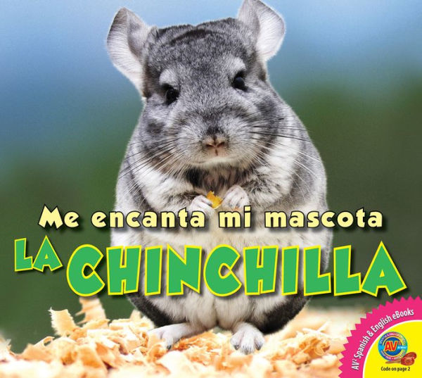 La chinchilla