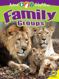 Title: Family Groups, Author: Simon Rose