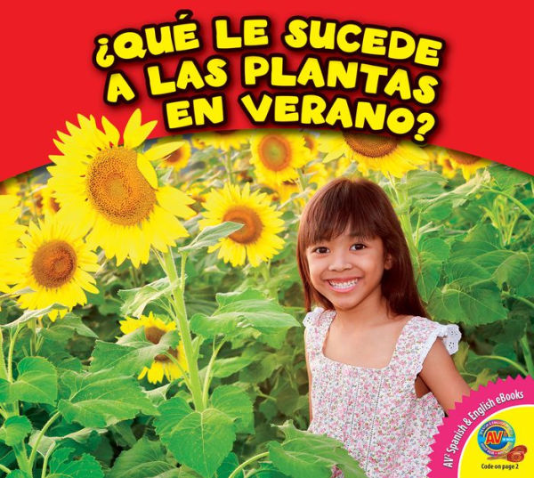 ¿Qué le sucede a las plantas en verano?