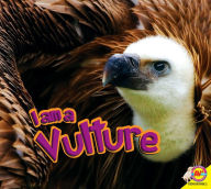 Title: Vulture, Author: Heather Kissock