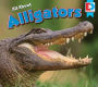 All about Alligators