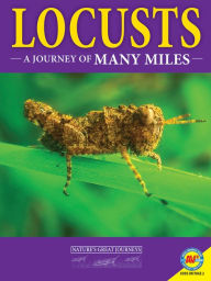 Title: Locusts: A Journey of Many Miles, Author: Lindsey E. Carmichael