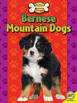 Bernese Mountain Dogs By Lisa Truesdale Hardcover Barnes Noble