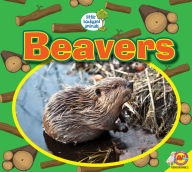 Title: Beavers, Author: Heather Kissock