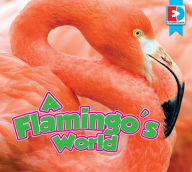 Title: A Flamingo's World, Author: John Willis